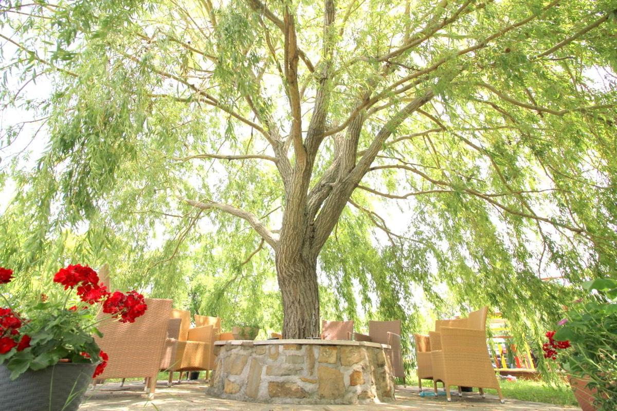 Green Place Apartments Portoroz Ngoại thất bức ảnh